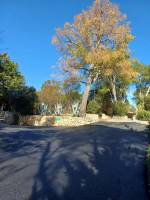 Réalisation d'un chemin d'accès villa en enrobé noir